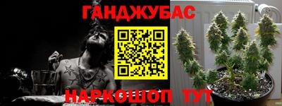 гашишное масло Берёзовский